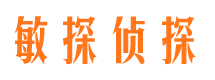 广阳市调查取证